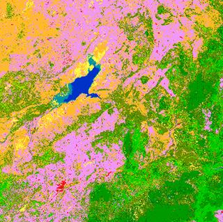 global-land-cover